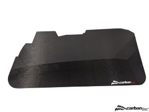 Carbon door cards Audi A3 8P 3 door